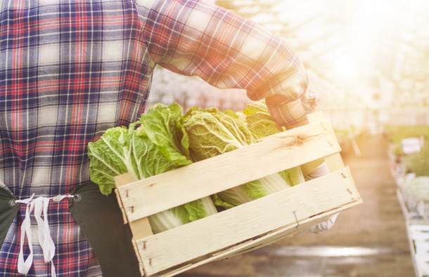 Photo of person carrying fresh produce