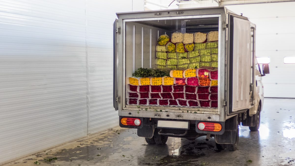 3-tecnologias-sustentables-para-la-descarbonizacion-del-transporte-refrigerado-2.jpg