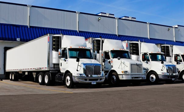 Nova geração de trailers refrigerados acelera transformação da cadeia do frio no Brasil